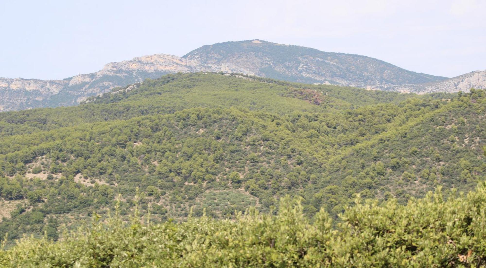 Le Pas Du Ventoux Mollans-sur-Ouvèze Exterior foto